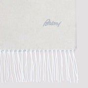 Brioni Scarves - Nude & Neutrals | 5722a7b128d7169a3f4c0a226fbeff2225fc7e00