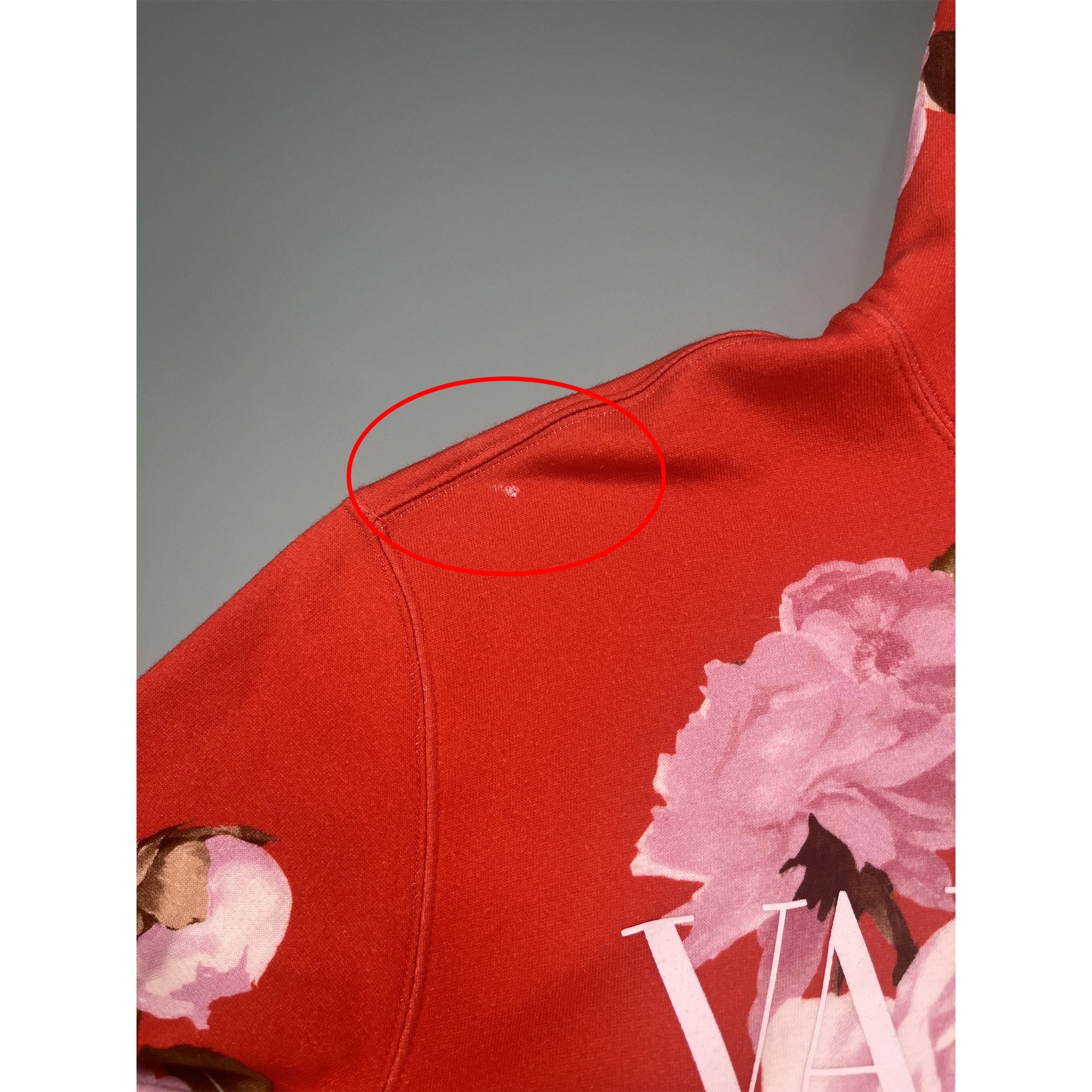 Valentino Logo Hooded Sweatshirt