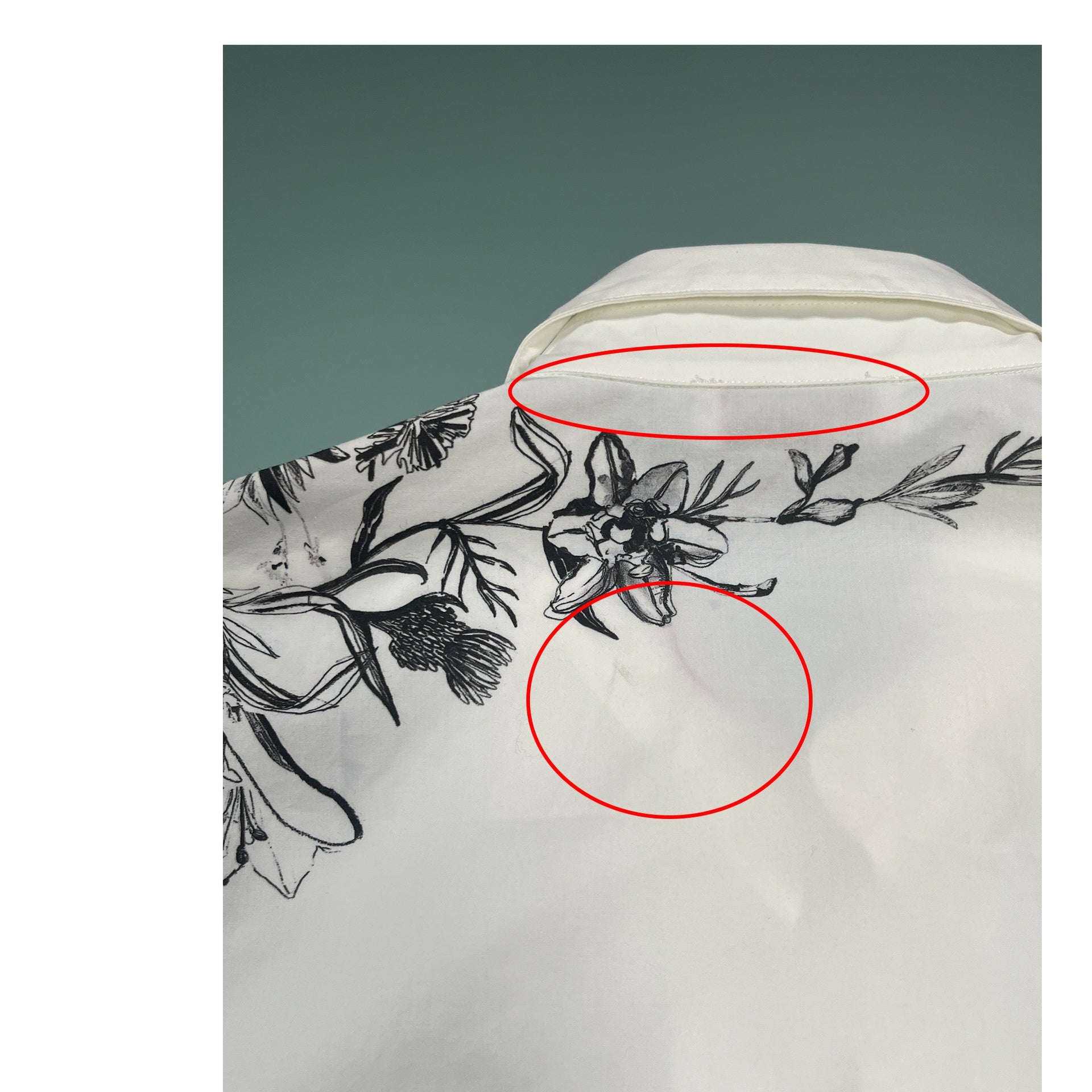 Alexander Mcqueen Printed Shirt